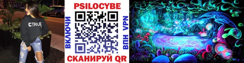 Псилоцибиновые грибы Psilocybe купить наркотики сайты mega tor Шимановск